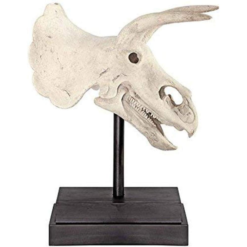 imageDesign Toscano TRex Dinosaur Skull Fossil Statue on Museum MountTriceratops Dinosaur Skull
