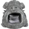 CRASH THE SQUIRREL RAIN GUTTER(Butch the Bulldog)