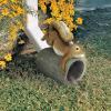 CRASH THE SQUIRREL RAIN GUTTER(Crash the Squirrel)