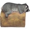 CRASH THE SQUIRREL RAIN GUTTER(Raider the Raccoon)
