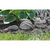 Design Toscano Benevolent Dragon Asian Garden Statue, 27 Inch, Resin, Gray Stone Finish(Moat Monster Dragon)