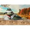 Design Toscano Bert The Flirtatious Frog Garden Toad Statue