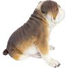 Design Toscano Buster the Bulldog Sculpture 16 Inch(16 Inch)