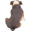 Design Toscano Buster the Bulldog Sculpture 16 Inch(16 Inch)