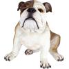 Design Toscano Buster the Bulldog Sculpture 16 Inch(16 Inch)