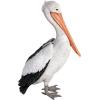Design Toscano Coastal Decor Ocean’s Perch Pelicans Garden Bird Statue, 9 Inch Wide, 24 Inch Tall, Cast Stone Resin, Full Color Finish(Giant White)