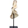 Design Toscano EU33738 Ernie the Elephant Shelf Sitter Sculpture,Single(Coastal)