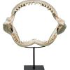 Design Toscano EU33738 Ernie the Elephant Shelf Sitter Sculpture,Single(Coastal)