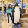 Design Toscano Fiberglass Polyresin Antarctic King Penguin NE100068, Large, Full Color(Grande)