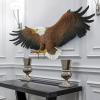 Design Toscano Freedom’s Pride Eagle Plaque: Large(Freedom’s Pride American Bald Eagle Patriotic)