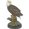 Design Toscano Freedom’s Pride Eagle Plaque: Large(Noble Strength Bald Eagle)