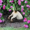 Design Toscano Highland Terrier Digging Dog Statue(Terrence White)