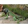 Design Toscano Iggy The Iguana Indoor/Outdoor Garden Statue, Large, 22 Inch Long, Cast Stone Resin, Full Color Finish(Garden)