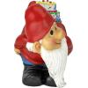 Design Toscano Loonie Moonie Happy Birthday Garden Gnome Statue