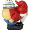 Design Toscano Loonie Moonie Happy Birthday Garden Gnome Statue