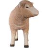 Design Toscano Merino Ewe Life-Size Lamb Statue: Standing(Standing)