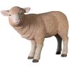 Design Toscano Merino Ewe Life-Size Lamb Statue: Standing(Standing)