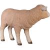 Design Toscano Merino Ewe Life-Size Lamb Statue: Standing(Standing)