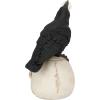 Design Toscano Mystic Night Raven Statues(Harbinger of Doom)