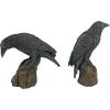 Design Toscano Mystic Night Raven Statues(Mystic Night)