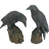 Design Toscano Mystic Night Raven Statues(Mystic Night)