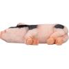 Design Toscano Piggy Garden Statue Porker, Multicolored 6.5″Wx15.5″Dx8.5″H(Sleeping Pig Statue)