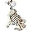 Design Toscano QM14021 Fetch The Skeleton Dog Statue, Faux Bone Finish