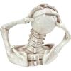 Design Toscano QM21463 The Creeper from The Grave Garden Statue Zombie Halloween Decoration, One Size, Multicolored(The Screaming Skeleton Statue – Large)