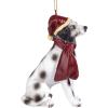 Design Toscano Siberian Husky Holiday Dog Christmas Tree Ornament Xmas Decorations, 3 Inch, Full Color(Dalmatian)