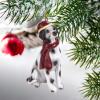 Design Toscano Siberian Husky Holiday Dog Christmas Tree Ornament Xmas Decorations, 3 Inch, Full Color(Dalmatian)