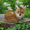 Design Toscano Simon The Woodland Fox Indoor/Outdoor Garden Statue for Patio, Pool or Lawn, 18 Inch Tall, Cast Stone Resin, Red Orange Paint(Diablo)