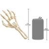 Design Toscano Skeleton Hand of Destiny Sculptural Bottle Opener, Single, Faux Bone Finish Twin