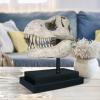 Design Toscano T-Rex Dinosaur Skull Fossil Statue on Museum Mount(T-Rex Dinosaur Skull)