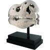 Design Toscano T-Rex Dinosaur Skull Fossil Statue on Museum Mount(T-Rex Dinosaur Skull)