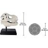 Design Toscano T-Rex Dinosaur Skull Fossil Statue on Museum Mount(T-Rex Dinosaur Skull)