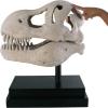Design Toscano T-Rex Dinosaur Skull Fossil Statue on Museum Mount(T-Rex Dinosaur Skull)