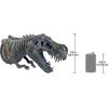 Design Toscano T-Rex Dinosaur Skull Fossil Statue on Museum Mount(T-Rex Skeleton)