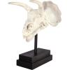 Design Toscano T-Rex Dinosaur Skull Fossil Statue on Museum Mount(Triceratops Dinosaur Skull)