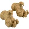 Design Toscano Talons of the Dunheviel Dragon Wall Sculptures