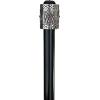 Design Toscano The Dragonsthorne Collection: Death’s Grip Skull and Claw Walking Stick(Dragon’s Grasp)
