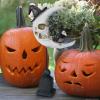 Design Toscano Warlock’s Raven Moon Halloween Statue