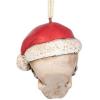 Skelly Claus II Gothic Skull Christmas Tree Ornament, 2 Inch, Single(Skelly Claus)