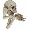 Design Toscano CL6762 Beggar for Souls Skeleton Wall Sculpture, 12 Inch, Faux Bone Finish