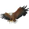Design Toscano Freedom’s Pride Eagle Plaque: Large(Freedom’s Pride American Bald Eagle Patriotic)