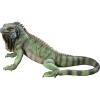 Design Toscano Iggy The Iguana Indoor/Outdoor Garden Statue, Large, 22 Inch Long, Cast Stone Resin, Full Color Finish(Garden)