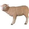 Design Toscano Merino Ewe Life-Size Lamb Statue: Standing(Standing)