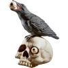 Design Toscano Mystic Night Raven Statues(Harbinger of Doom)
