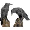 Design Toscano Mystic Night Raven Statues(Mystic Night)