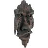Design Toscano Nottingham Woods Greenman Tree Face Indoor/Outdoor Fantasy Wall Sculpture, 15 inches tall, Cast Stone Resin, Woodtone Finish