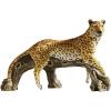 Design Toscano Prowling American Mountain Cougar Indoor/Outdoor Garden Statue, 22 Inches Wide, 5 Inches Deep, 8 Inches High, Handcast Polyresin, Full Color Finish(Leopard’s Kingdom)